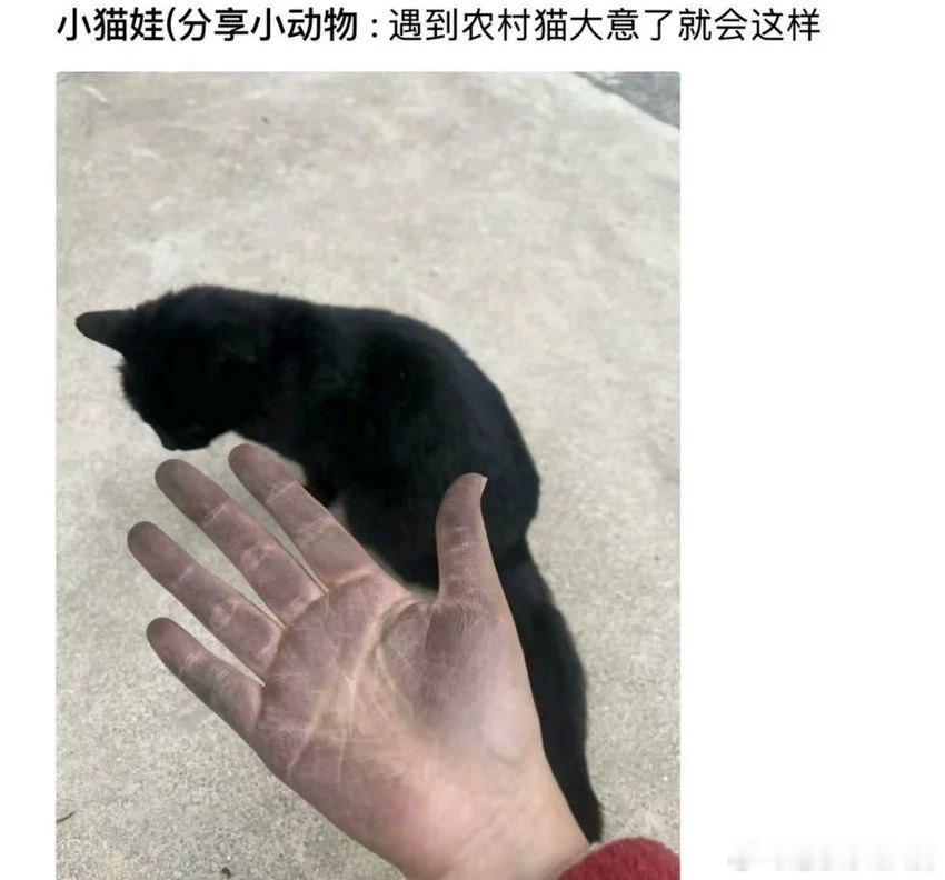 哎呀