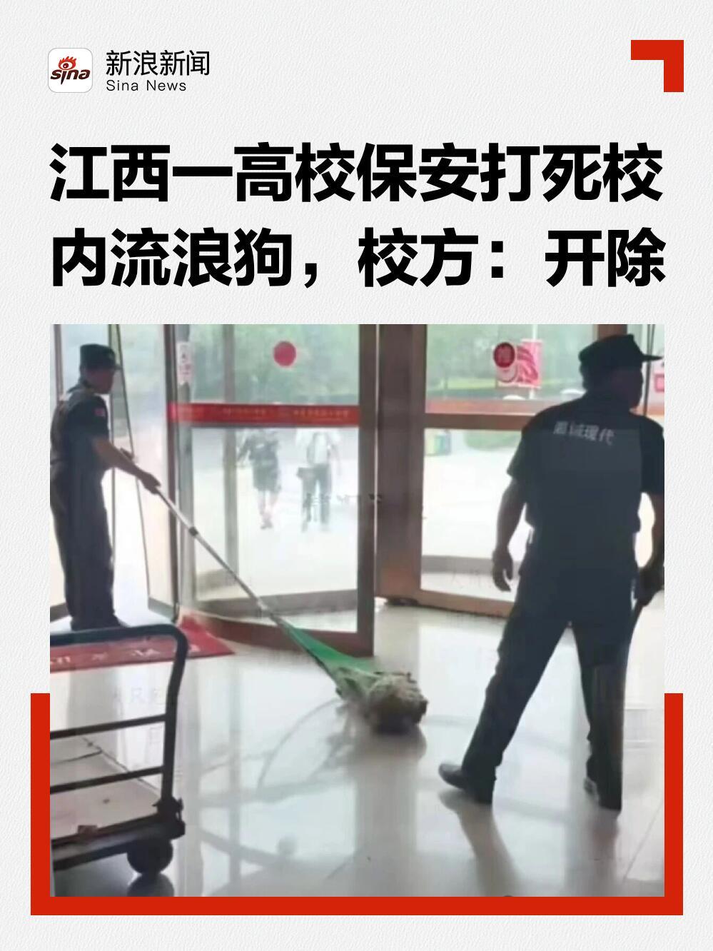 这事儿闹得挺大。江西新余学院一个保安把校内的流浪狗给打死了，学校反应倒是快，当天