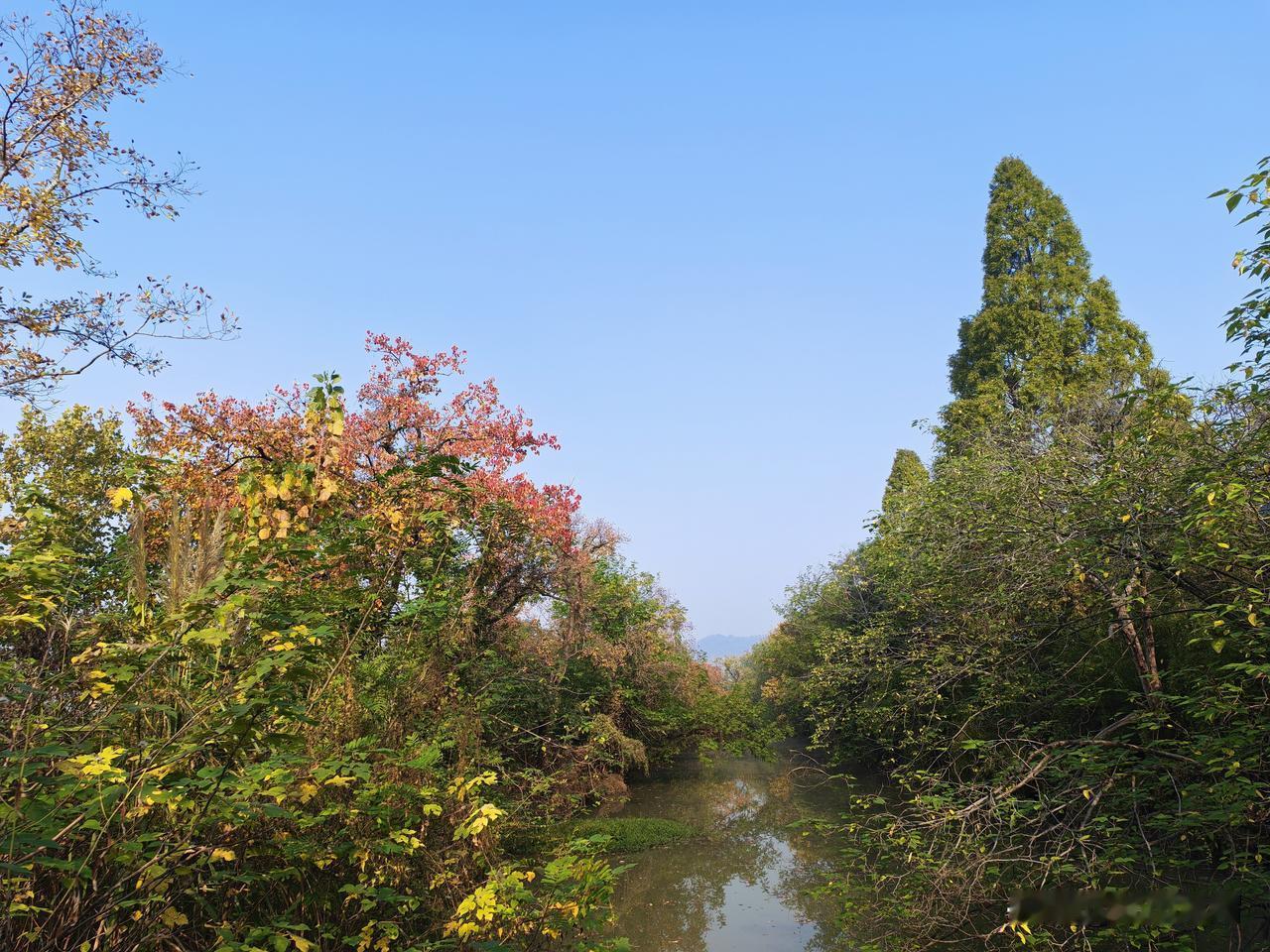 一个非常扎心的故事：有一个九十多岁的长寿老太太，躺在床上几年了，吃喝拉撒全不