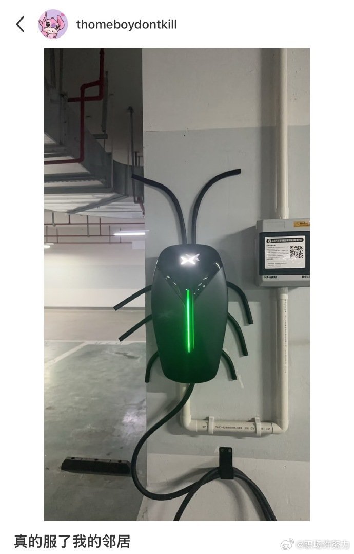 停完车一回头差点没被吓死