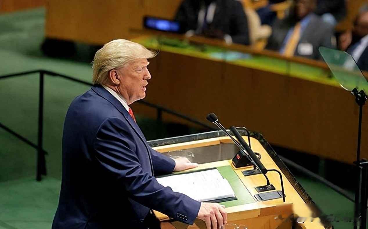特朗普又喊气候是假的，全球却悄悄换掉投票箱，谁在默默修电网？2025年9月，