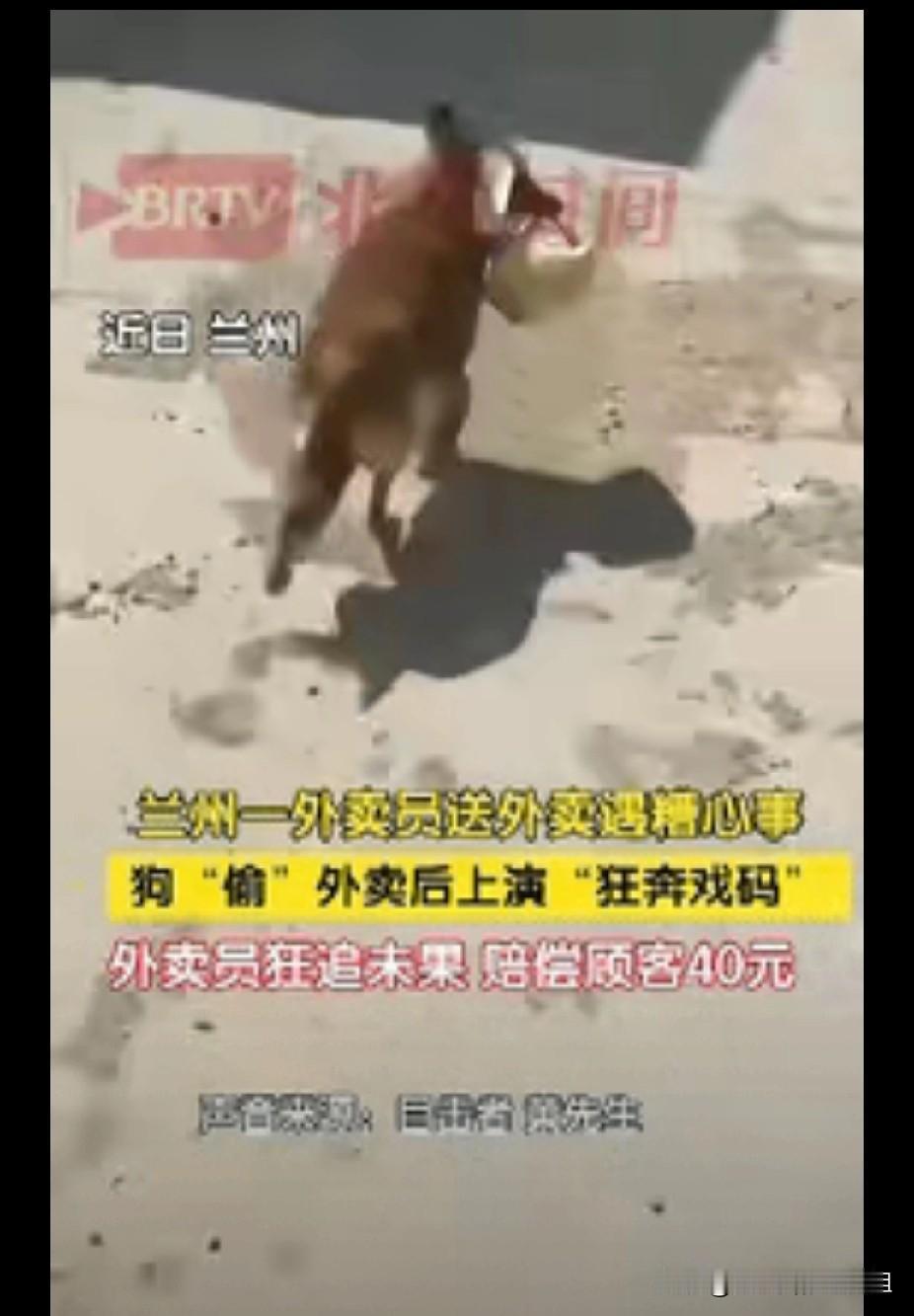 “倒大霉了！”甘肃兰州，一外卖员送完餐下楼后，发现挂在车把上的烤鸭外卖被小狗给叼