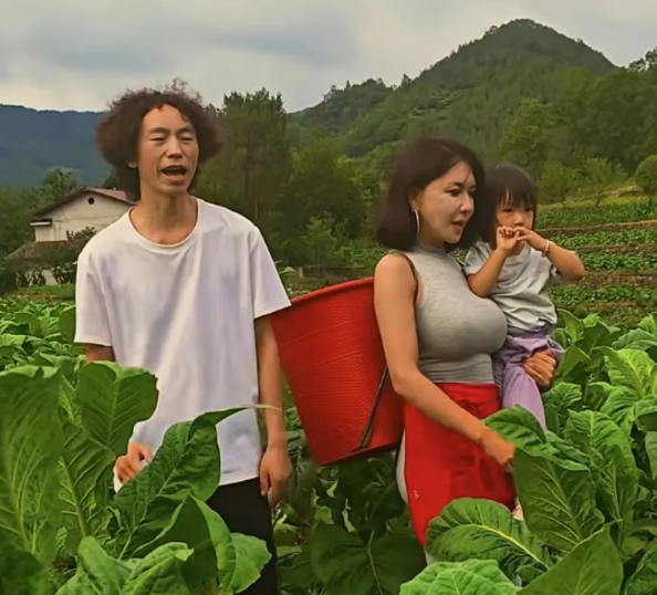 龚玥菲背着桶子，抱着女儿，庞麦郎唱着《我的父亲是瓦匠》，一家三口，站在烟地里，其乐融融