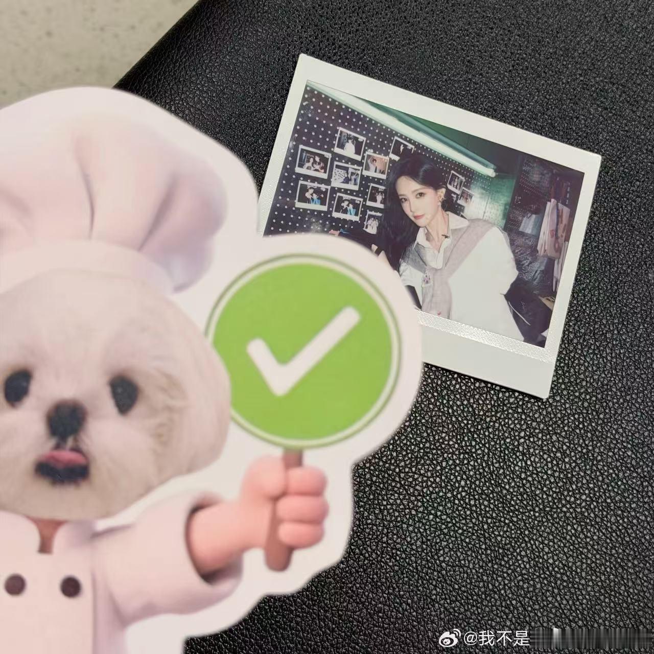 李一桐孟子义小狗hi6贴贴谁懂铲屎官的快乐，李一桐晒出肉肉和巧克力玩偶的合照，