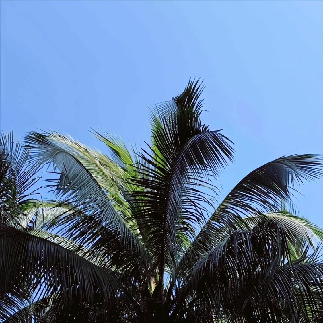 12月19日，中戏郝戎的新闻，媒体公开披露。 此人今年54岁，初心使命背离，