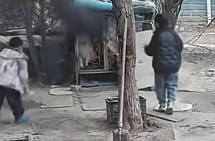 网曝小孩小区玩火失控烧死笼中狗孩子玩火有责任，狗主人违法养狗更有责任，最后赔偿