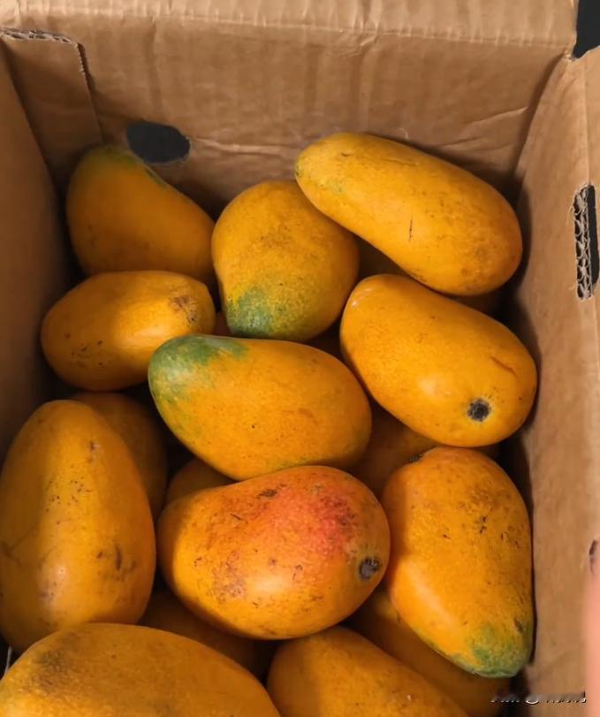 网购踩坑无数，我才发现这里面的黑幕，真的毁三观！我今年35岁，平时上班忙，家