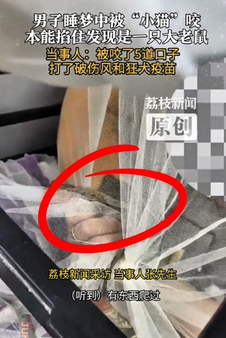 男子睡梦中有感觉有东西爬过，顺手将其掐在手里，不料竟是一只大老鼠！