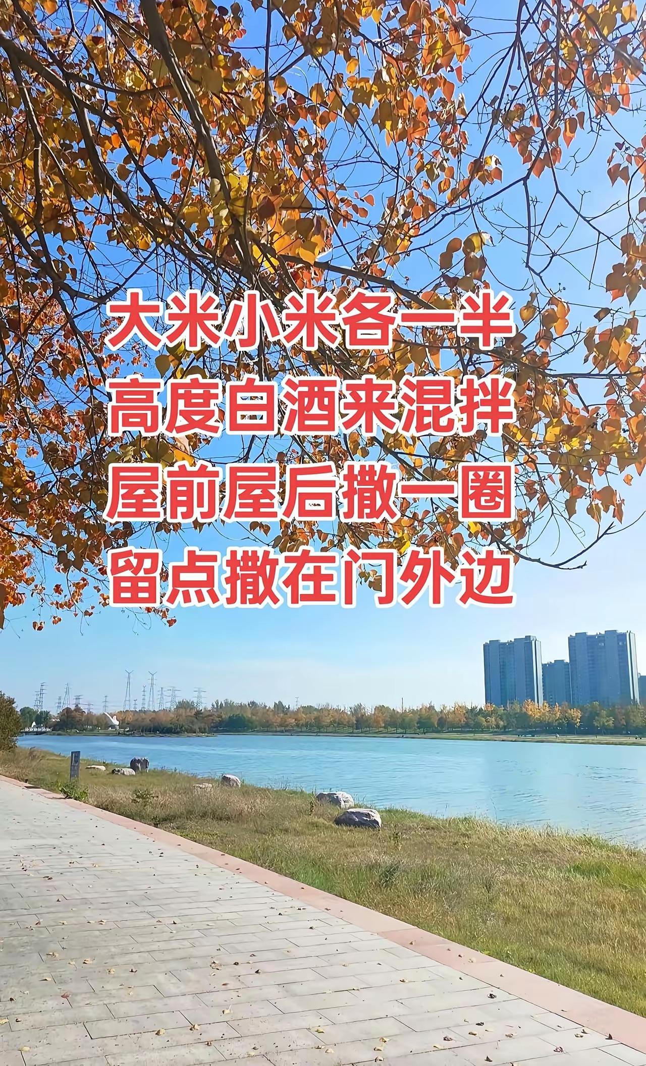 房前屋后埋有刀、斧、剪刀等铁器的人，都是用不好的方法盖房子或装修房子的。一