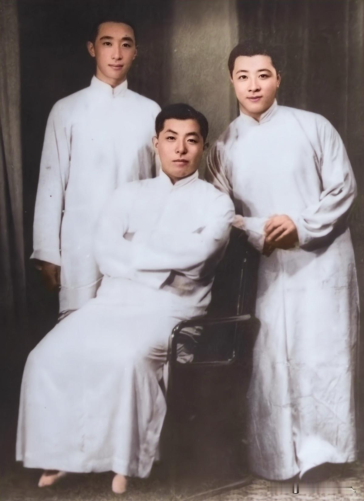 张作霖有8个儿子，他最看重张学良，不光把他当作接班人培养，还对他百般疼爱，他最厌