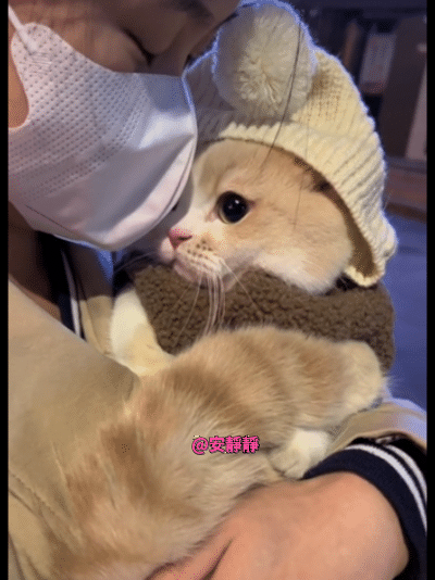 纯萌纯萌的[哭哭]真的会狠狠把它给吸秃，这也太可爱了吧！！！