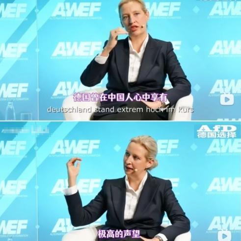 魏德尔声称“德国曾在中国人心中享有极高声望与名誉，现在已经严重受损”，这是一句