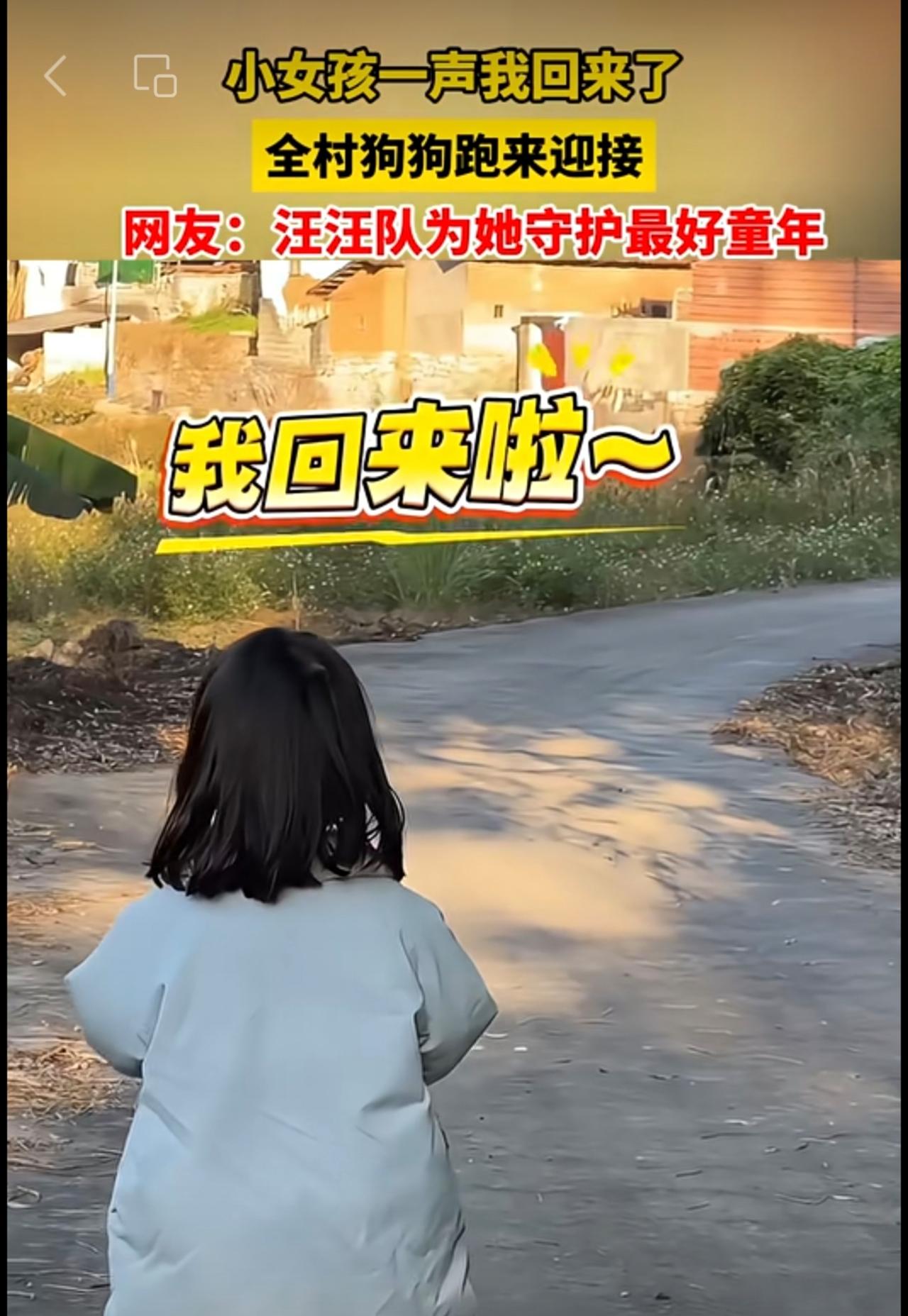 小女孩回到村里，一声“我回来啦”，全村狗狗立马顺着声音方向跑来迎接。网友：汪汪队