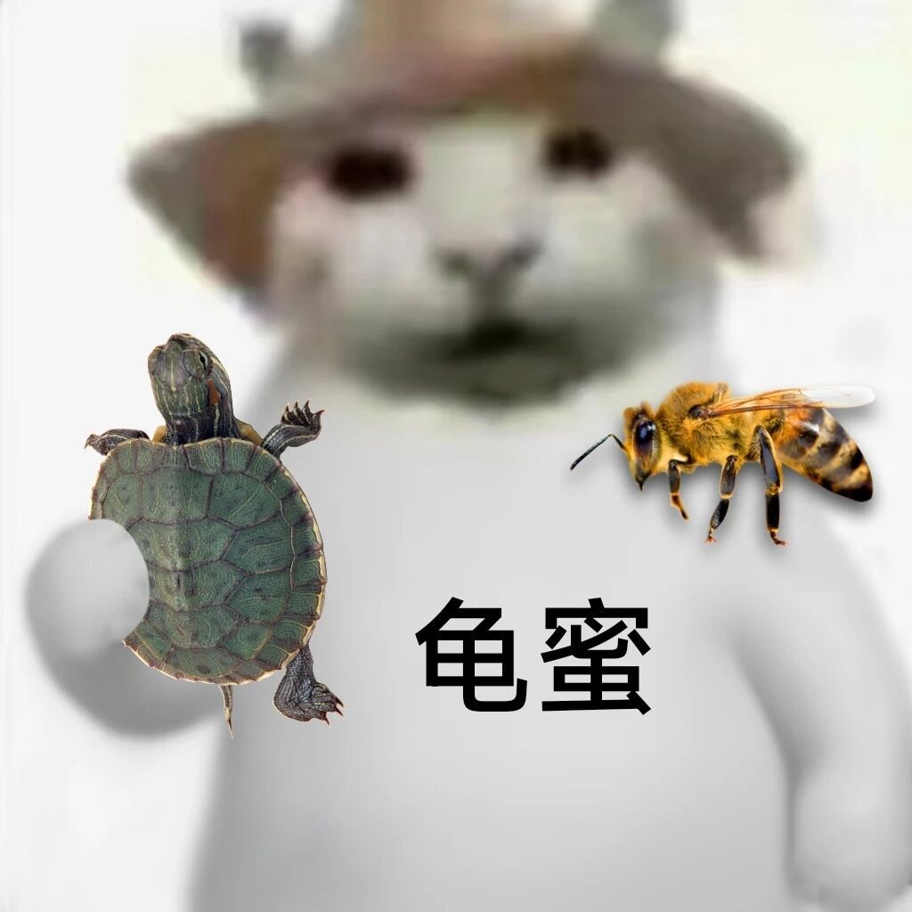 富婆哦富公哦不讲不讲表情包~