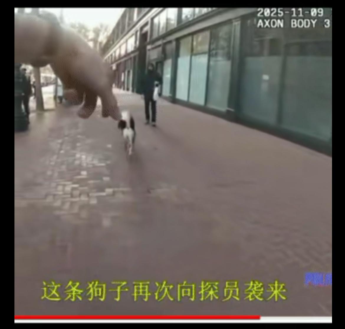 在美丽国，如果遛狗不栓狗绳，被警察发现了，警察就能逮捕遛狗人。而如果警察逮捕