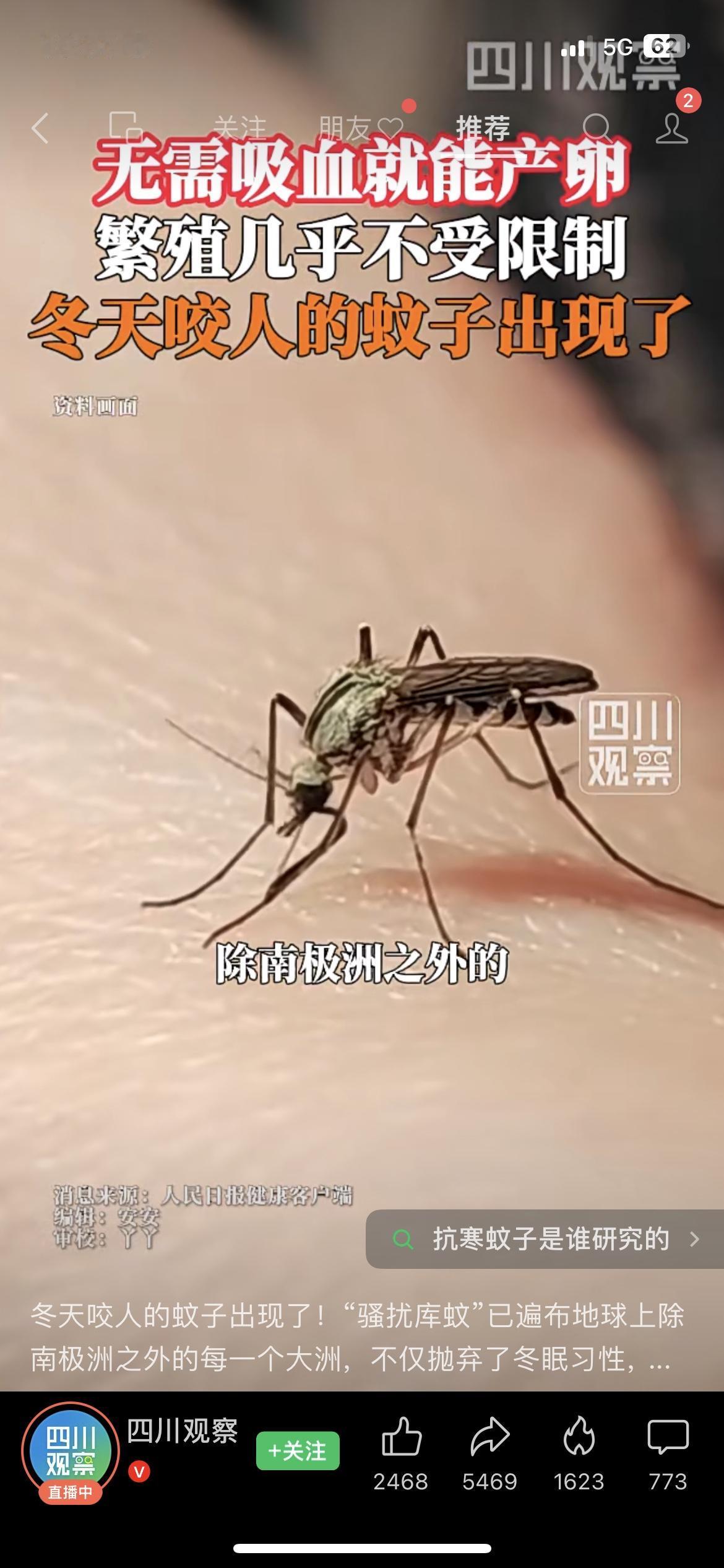 冬天蚊子杀不死？抗寒蚊子全球蔓延，不用吸血就能繁殖！谁懂啊！冬天居然还有蚊子