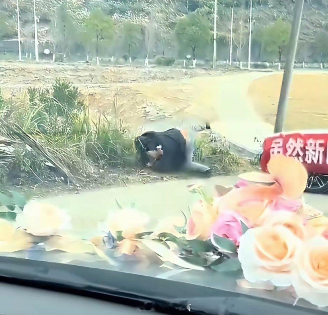 人家秋雅结婚，前男友又唱又跳的，准新郎不高兴了。