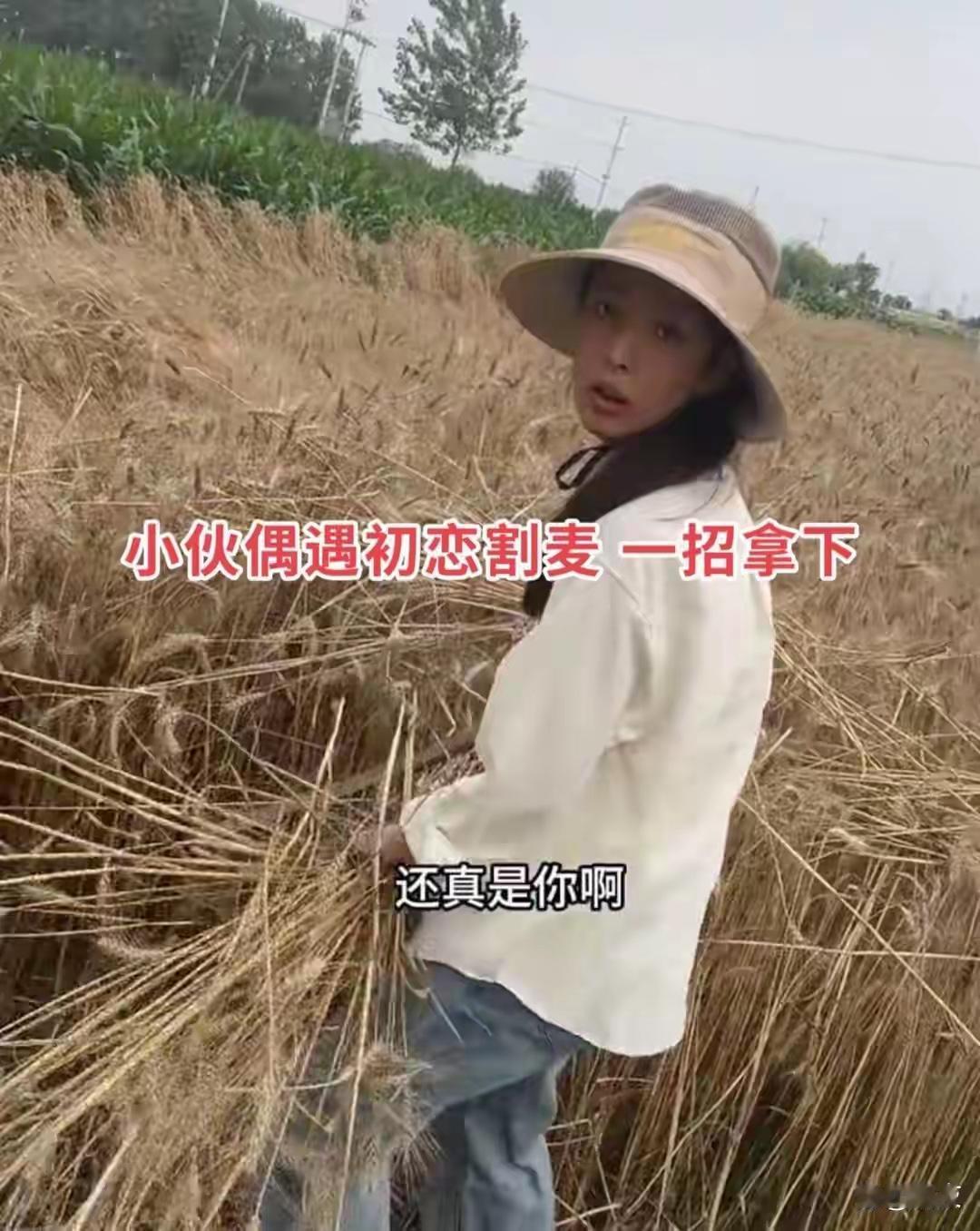 2026年6月，麦收时节。一个小伙开车回老家帮父母收麦子，在地头偶遇了三年没见的