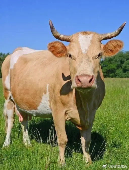 今天最强方向依然是AI硬件，MicroLED、CPO掀涨停潮，兆驰股份、华灿光