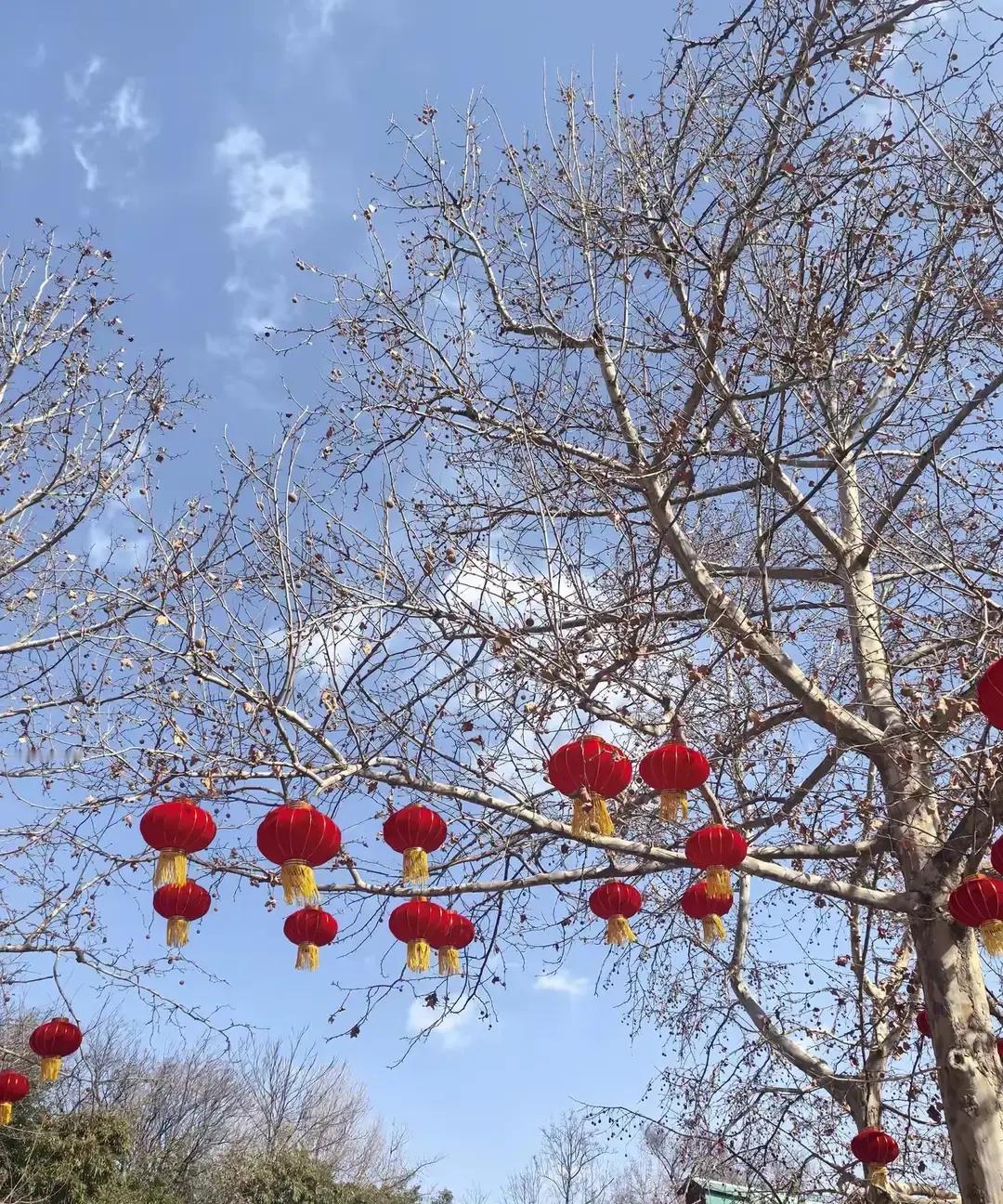 刷到个帖子，说公司里最漂亮的姑娘跟部门主管被同事起哄般配，结果人家突然甩出结婚证