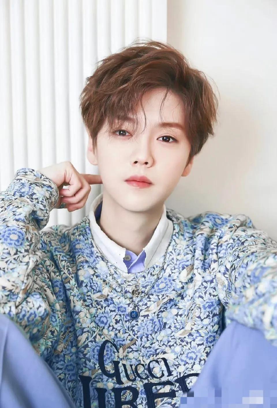 鹿晗商务“清零”？我告诉你一个圈内共识：这根本不是滑坡，而是精准的“换挡”。