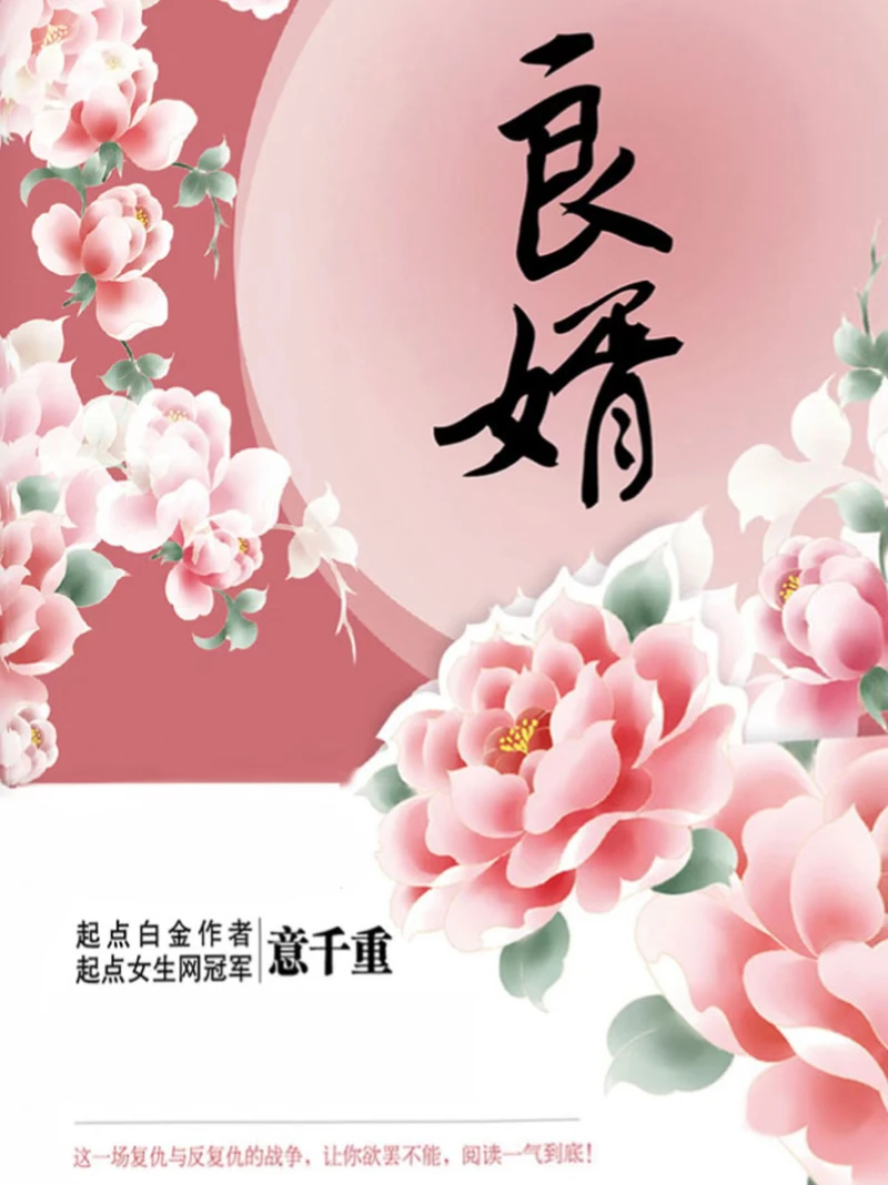 《良婿》（女主穿越 男主重生 古言文）