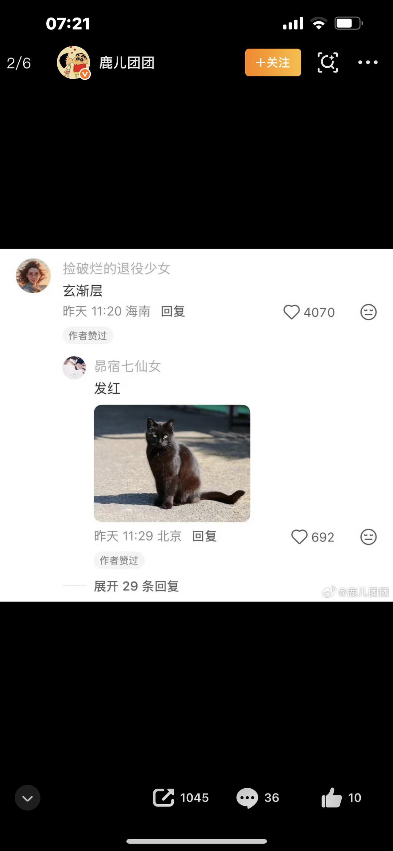 养了两年才发现是假黑猫，全网笑疯又看哭（爆款短视频文案｜开头钩子+强转折+高