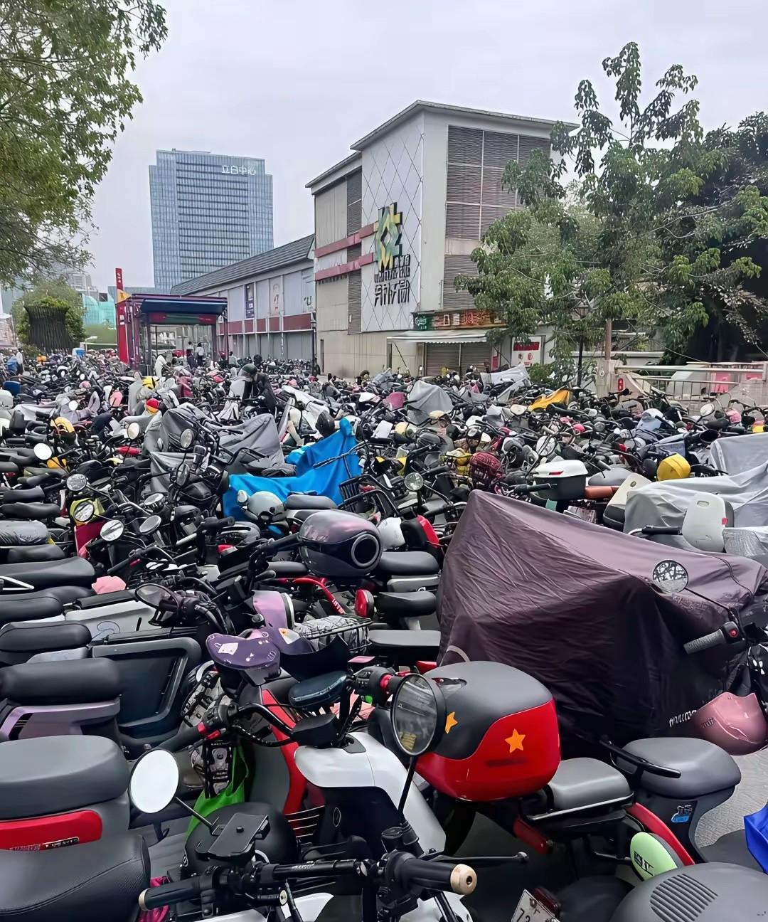 为什么非要把电鸡和“社会底层”捆绑在一起？原因很简单，因为有了这个挡箭牌，他们