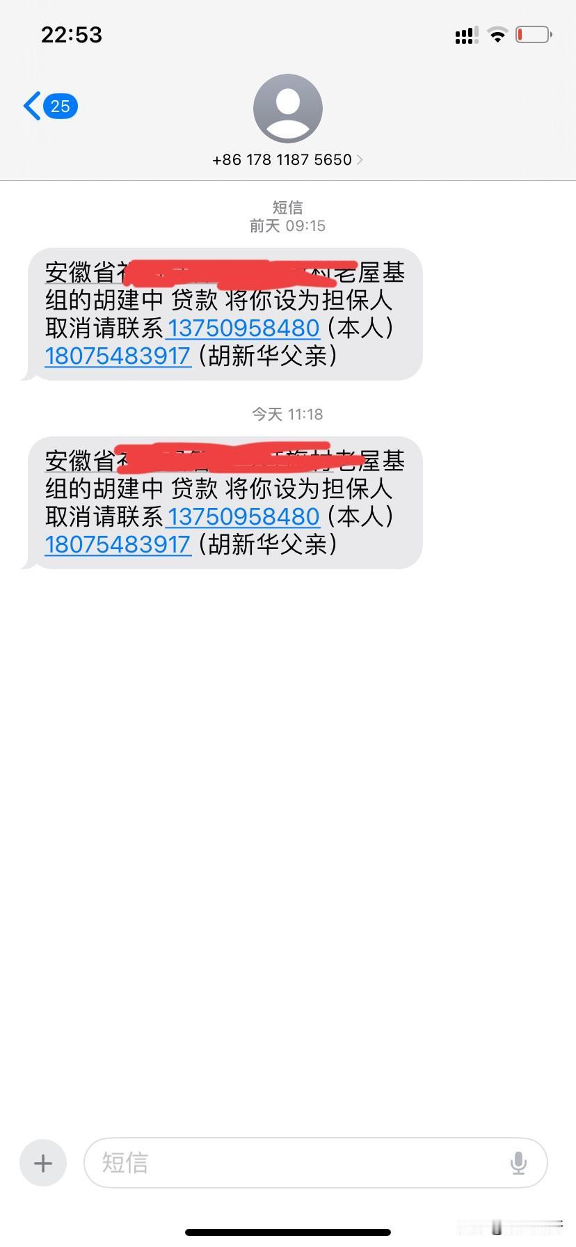 有谁知道，这是不是骗子的手段？借款担保是这么草率的吗？前天上午突然收到这样的一