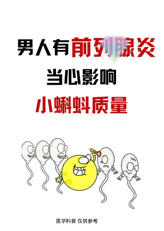 男人有前列腺炎，当心影响小蝌蚪质量！