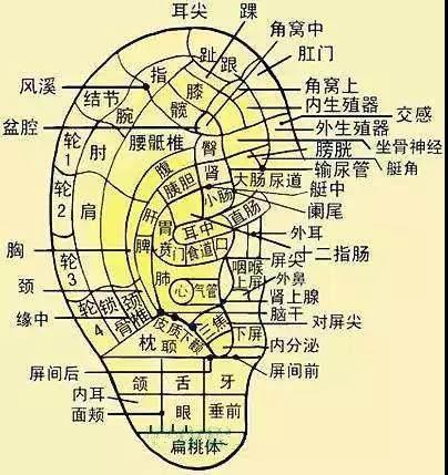 人身上有一个地方, 睡前揉一揉, 改善睡眠, 治疗头痛!