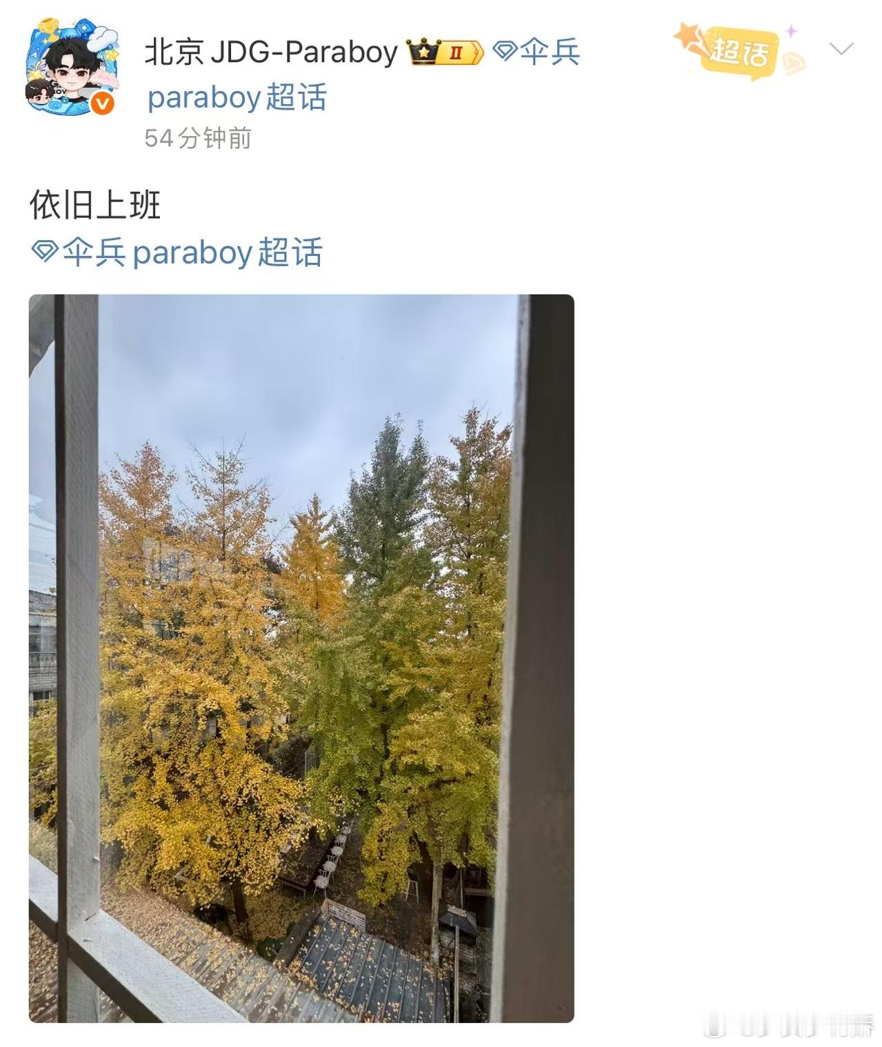 伞兵卡点1314被伞兵的1314上班报备甜到，更被背景里的枫叶林惊艳到！这景色