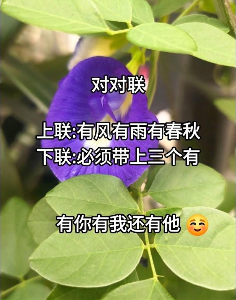 趣味对对联，以你的文采能否想出这个下联呢？上联：有风有雨有春秋下联：（要求是