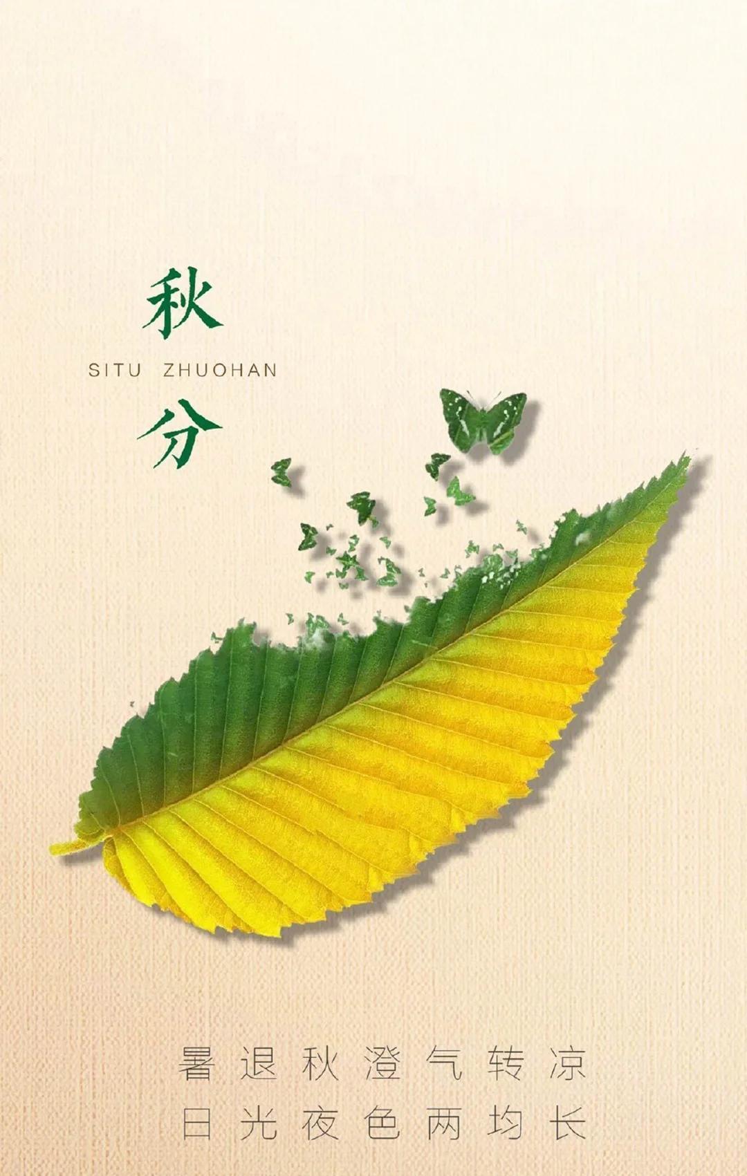 #天津天气#气象台6点发布:市区今天上午阴转小雨,下午小雨,前半夜小雨转多云,