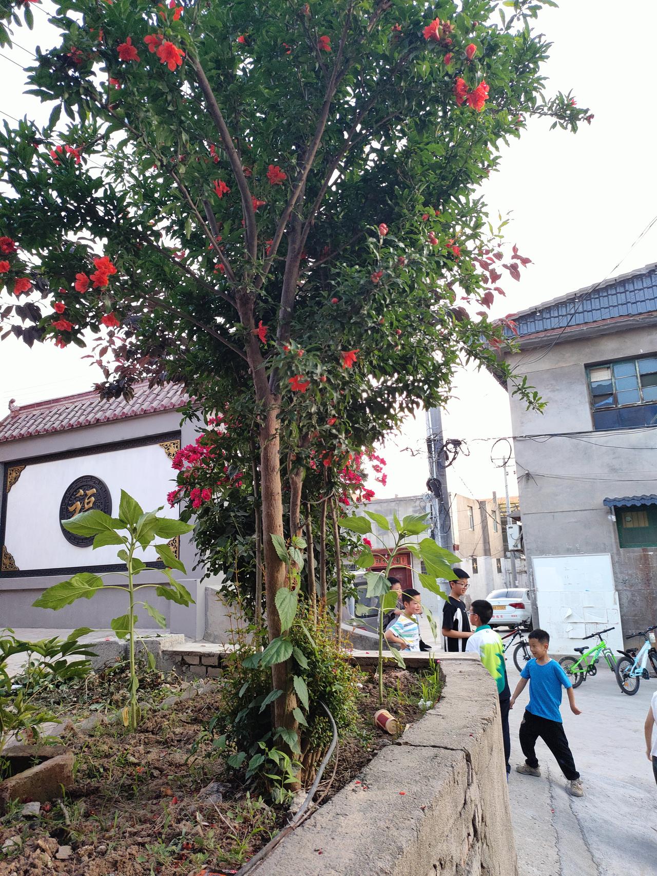 成绩是孩子现阶段成长的底气，自然不能松懈，但快乐同样不可或缺，二者从来不是二选一