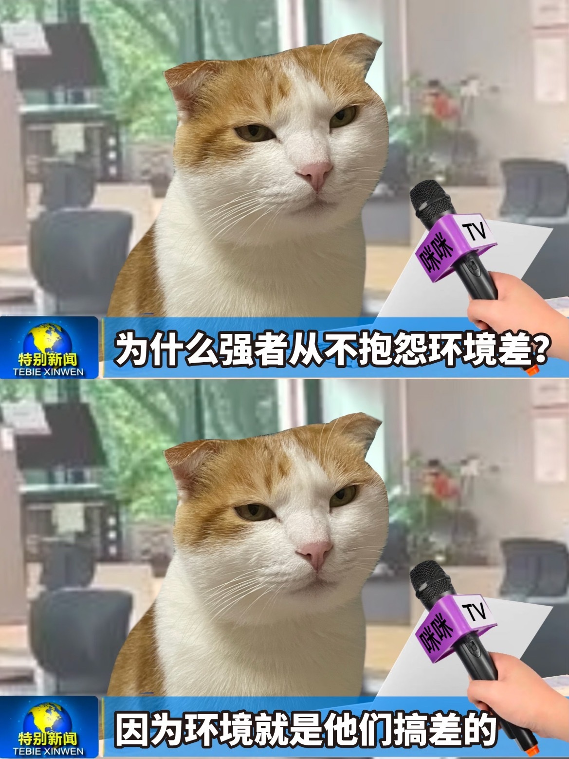 吃得苦中苦伺候人上人打工久了自然就习惯了……俺打工人不语只是一味共鸣搞笑幽默