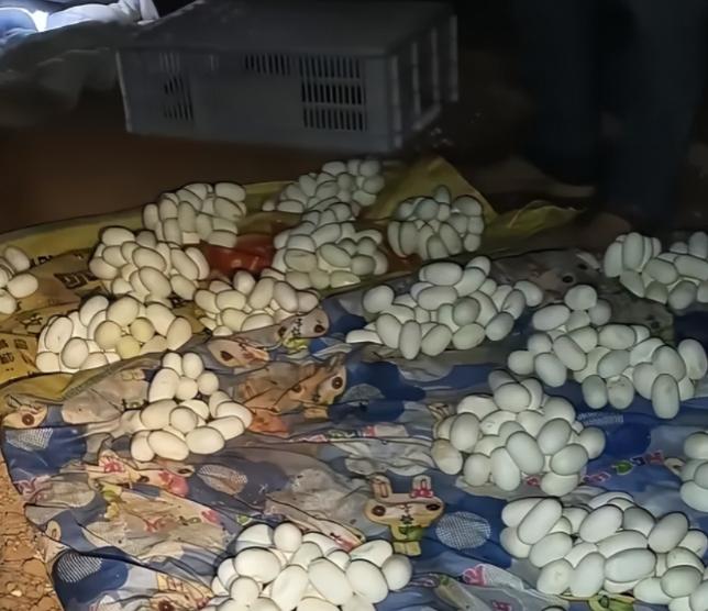 吓哭了！6月12日，江西一小伙整整半年没有回过家，最近，他返回自己久无人居的住处