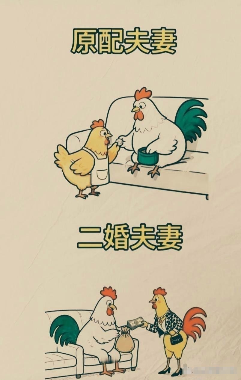 记录者超话记录者超话原配与二婚的区别，看懂了吗？​​​