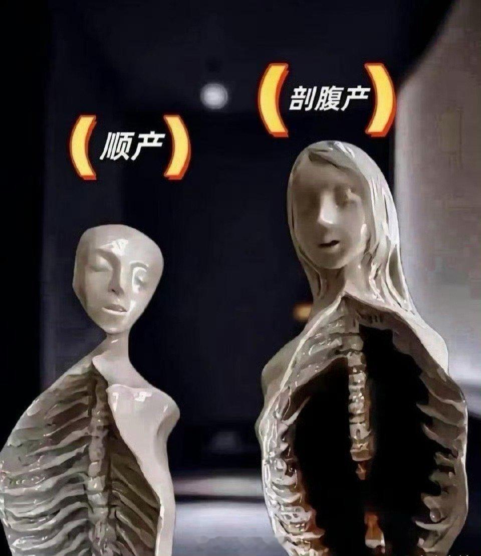 这张图，我现在终于知道为什么医生说能顺就顺了。​​​