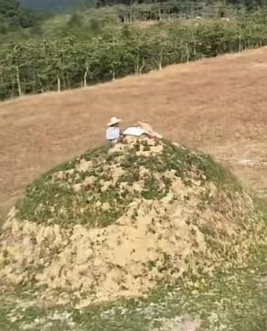 中国土葬几千年，埋了数十亿人，甚至上百亿人，可是现在除了极个别皇帝陵墓外，几乎看