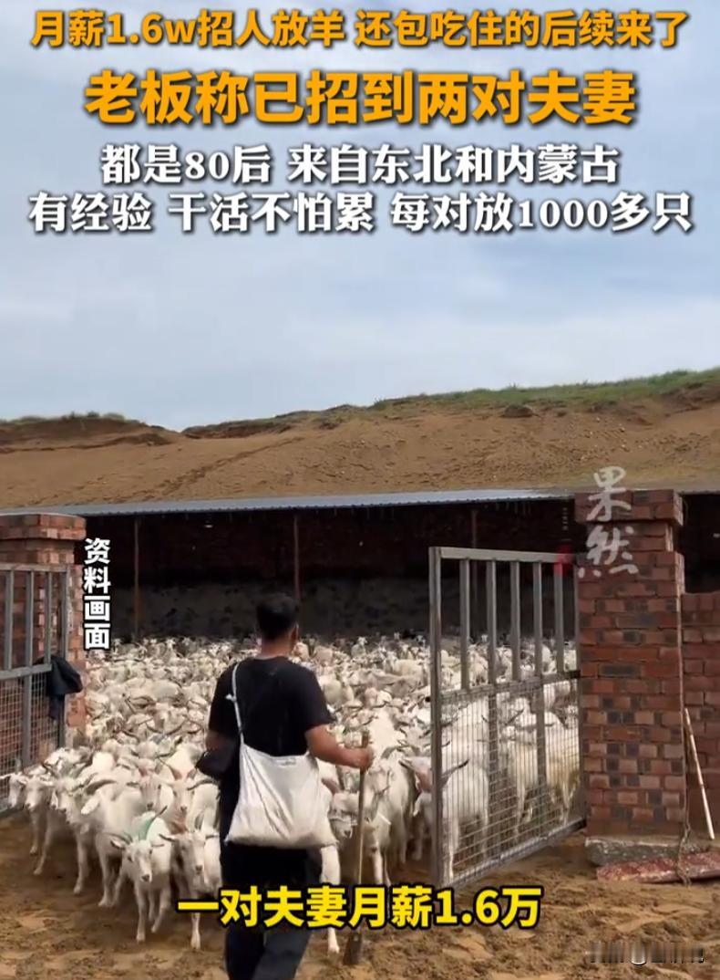 内蒙古，一位牧场招夫妻放羊的事，前阵子网上吵得挺热闹。月薪一万六，包吃包住，配马