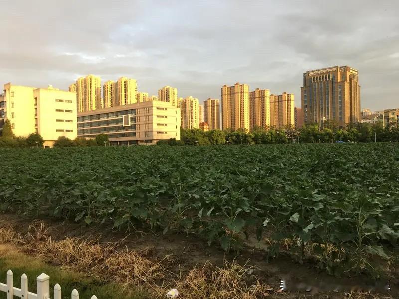 呼和浩特这个小阳春房价还是在那下跌的。呼和浩特楼市从2026年1月5日到4月1