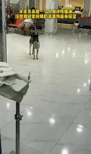 太有缘了，山东一女子半夜突然发高烧，一个人去医院打吊瓶的时候，来看她的竟然是喂了