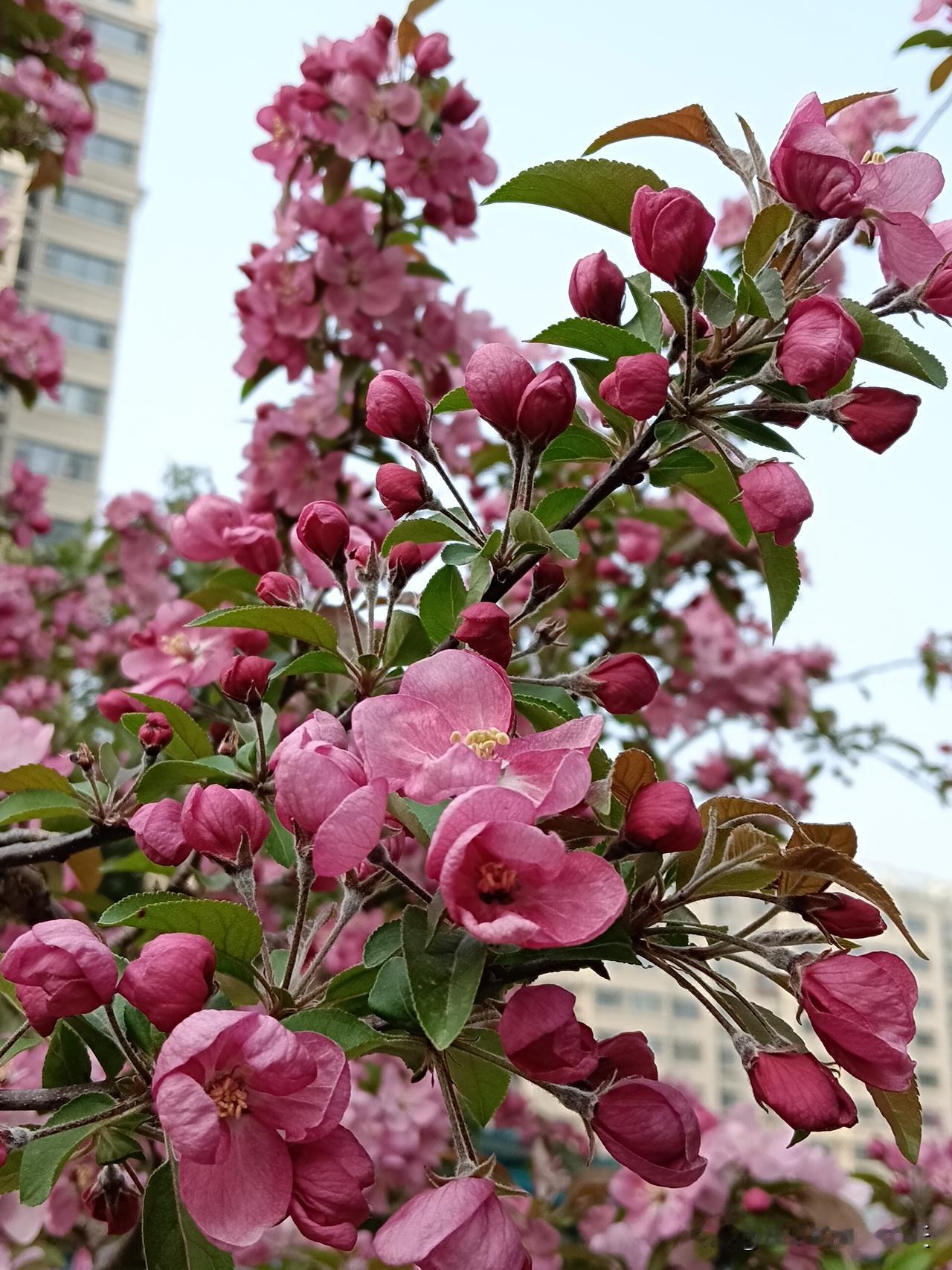 人到老年，有九件事尽量别做：一是别频繁染发、烫发。这不仅损伤头发，还会伤害皮肤