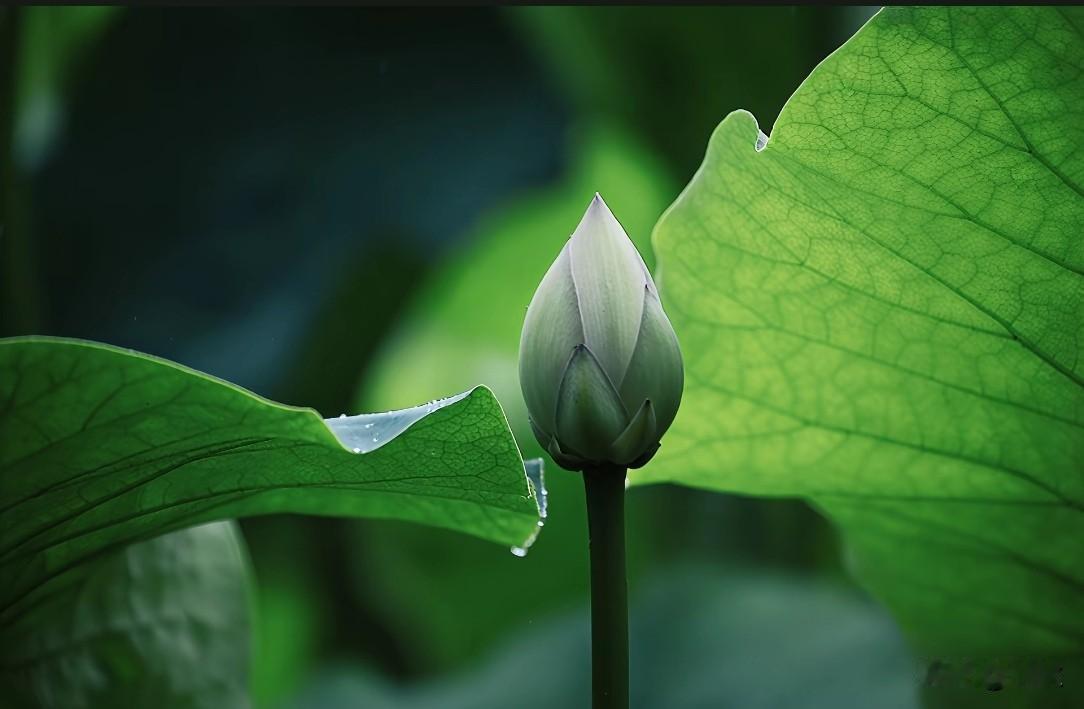 爱到深处真的是放手和成全吗？我觉得得分情况。之前我朋友爱上一个有家庭的人，对方过