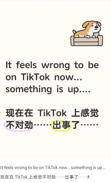 TIKTOK或许已经剥离核心算法，准备出售给特朗普了。美国TIKTOK恢复才不过