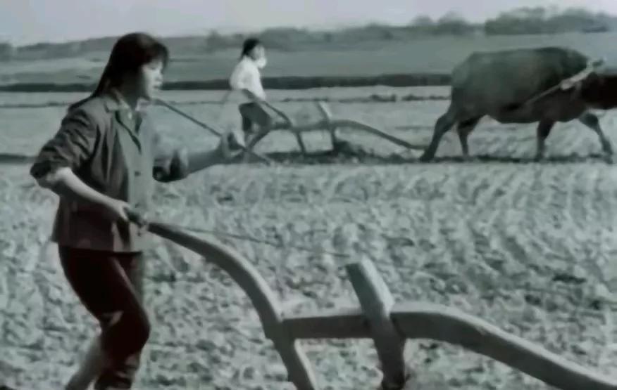 刘琦32岁那年，高考恢复了，可她的户口还在陕北窑洞的土墙上挂着。政审表压在公社抽