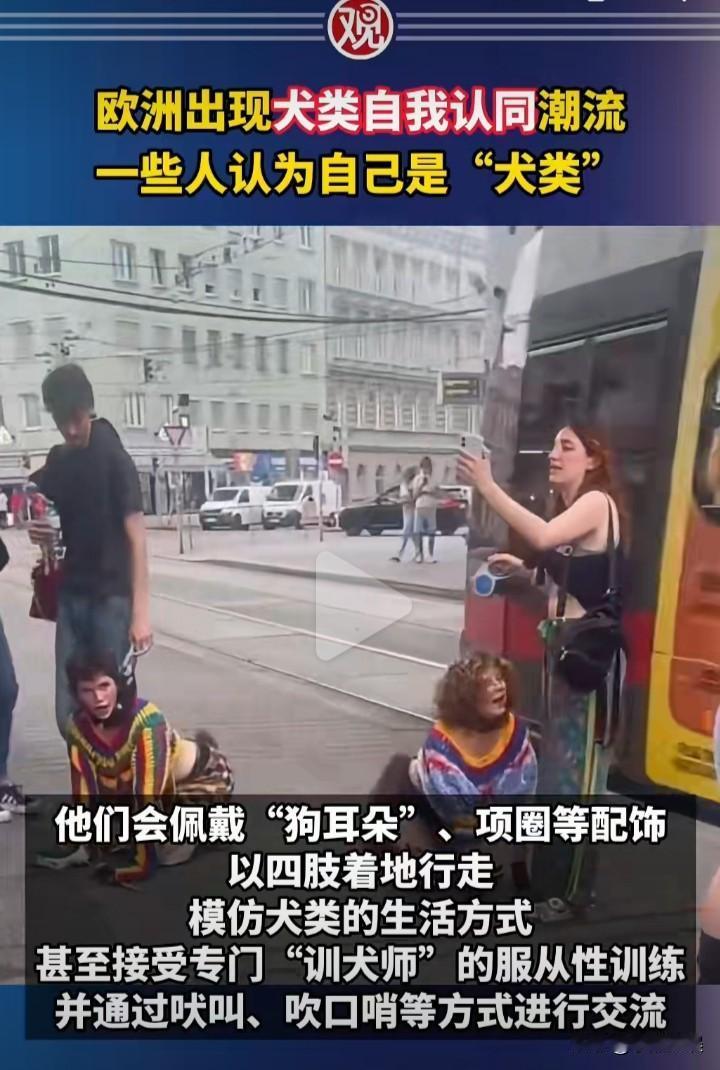 欧洲惊现犬人？这已经不是个例！最近在欧洲有这样一股潮流，那就是犬类自我认同