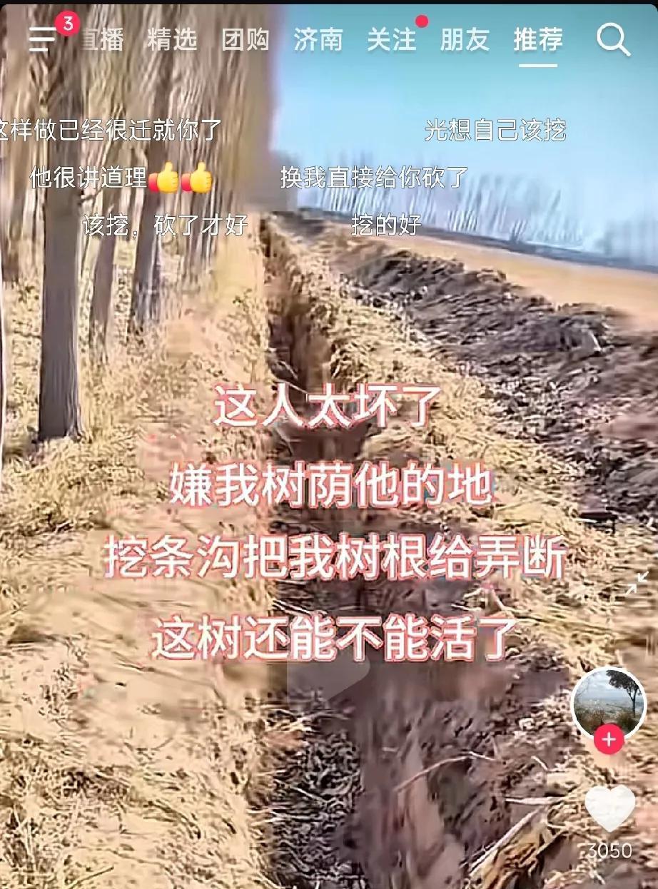 “不是谁发视频谁有理！”女子发视频吐槽:邻居太坏了，嫌弃我家的白杨树荫他家的地