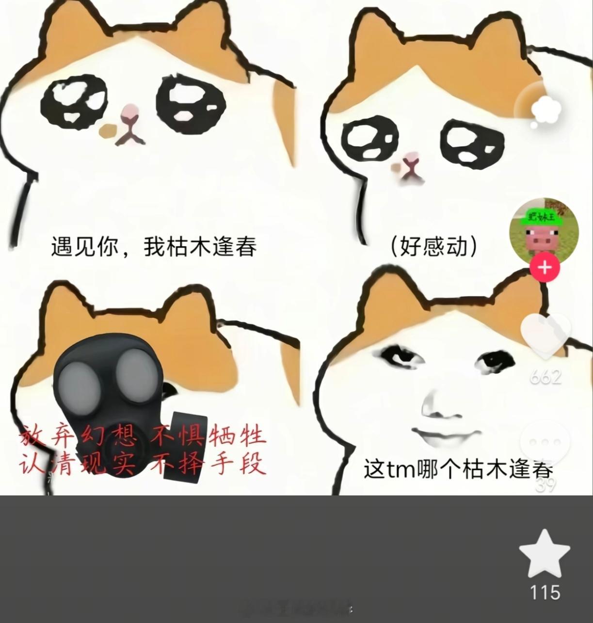 所以到底是哪个枯木逢春？​​​